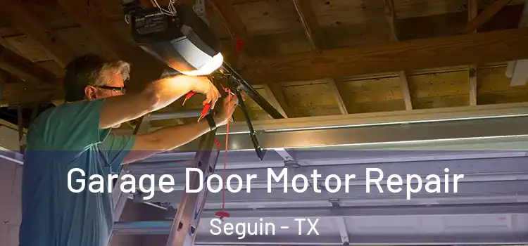  Garage Door Motor Repair Seguin - TX