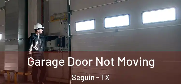  Garage Door Not Moving Seguin - TX