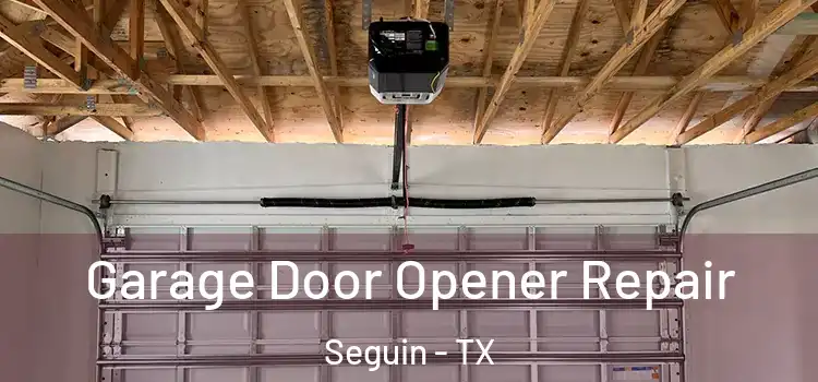  Garage Door Opener Repair Seguin - TX