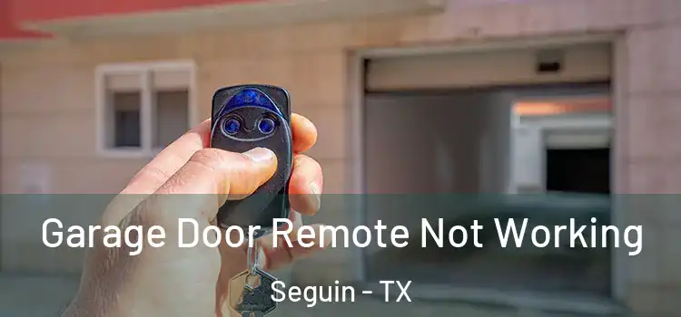  Garage Door Remote Not Working Seguin - TX