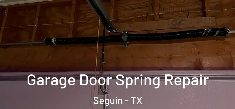  Garage Door Spring Repair Seguin - TX