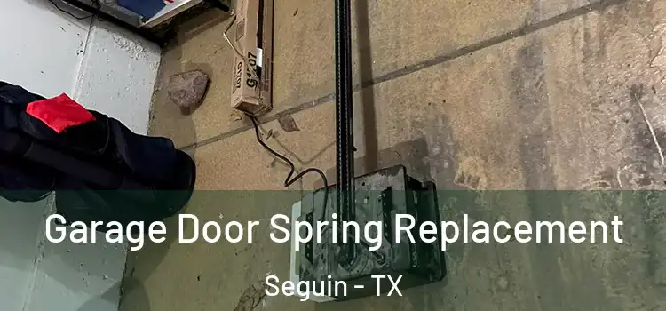  Garage Door Spring Replacement Seguin - TX