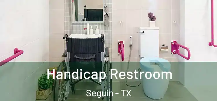 Handicap Restroom Seguin - TX