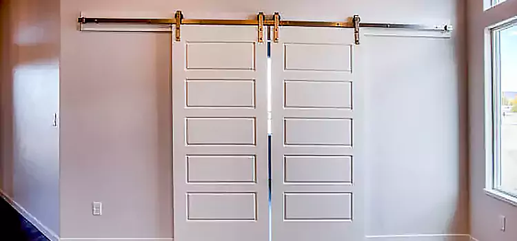 Glass Barn Door with Installation Hardware Kit Seguin