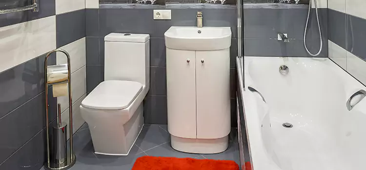 Hansgrohe Shaving Mirror Seguin