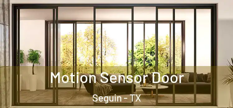 Motion Sensor Door Seguin - TX