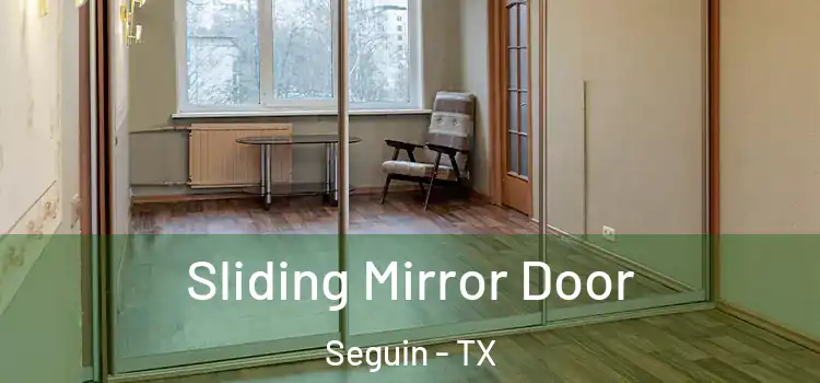  Sliding Mirror Door Seguin - TX